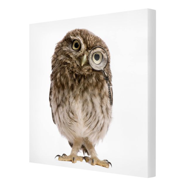 Stampa su tela - Curious Owl - Quadrato 1:1