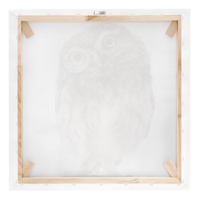 Stampa su tela - Curious Owl - Quadrato 1:1