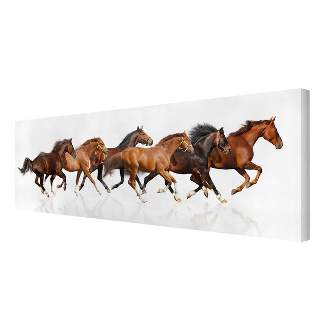 Stampa su tela - Horse Herd - Panoramico