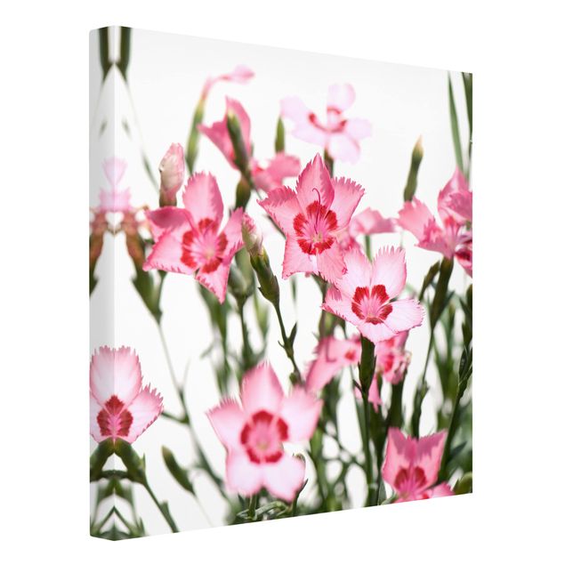 Stampa su tela - Pink Flowers - Quadrato 1:1