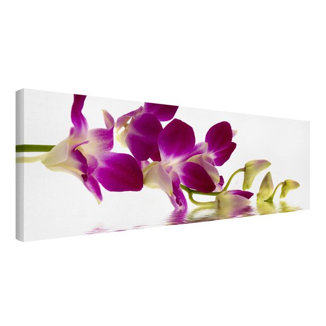Stampe su tela Acque di orchidee rosa