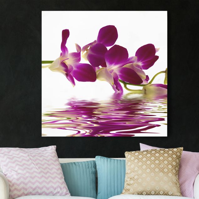 Quadri su tela con orchidee Acque di orchidee rosa