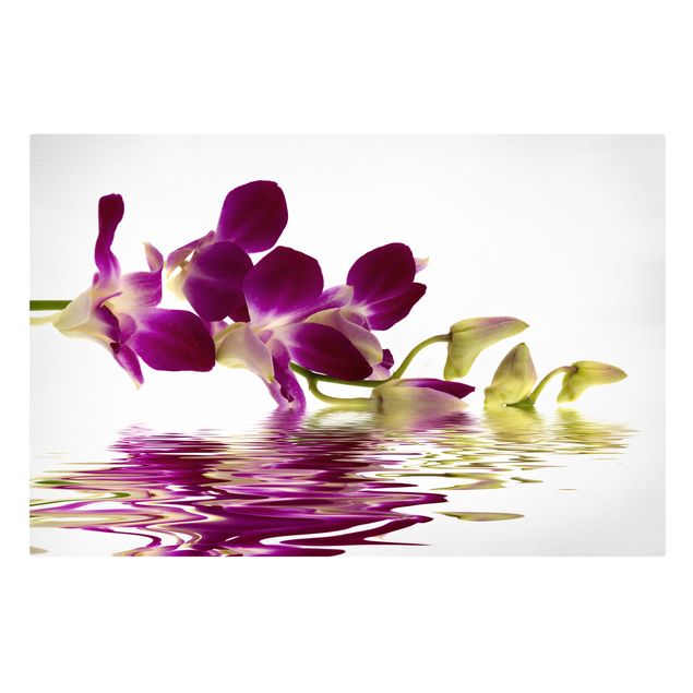 Stampa su tela - Pink Orchid Waters - Orizzontale 3:2