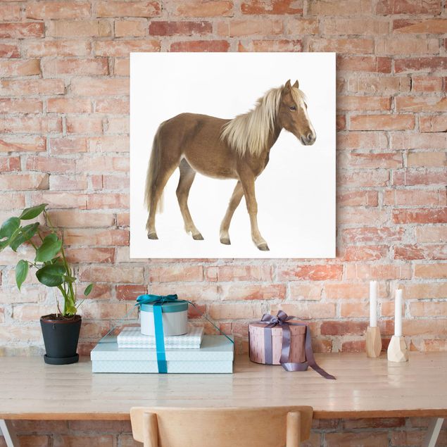 quadri con animali Pony
