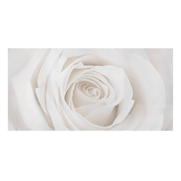 Stampa su tela - Pretty White Rose - Orizzontale 2:1