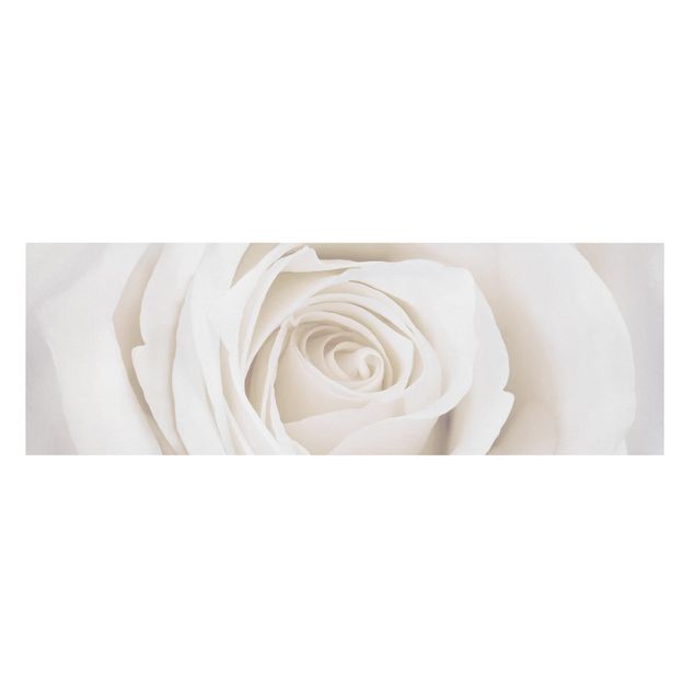 Stampa su tela - Pretty White Rose - Panoramico