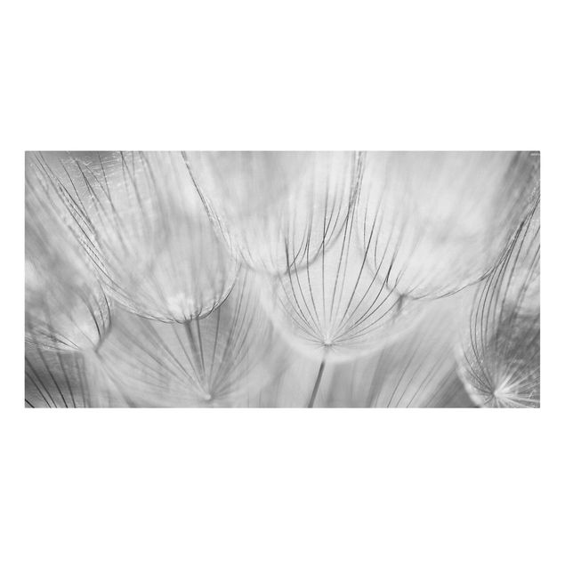 Quadri su tela Dandelions Macro Shot In Black And White