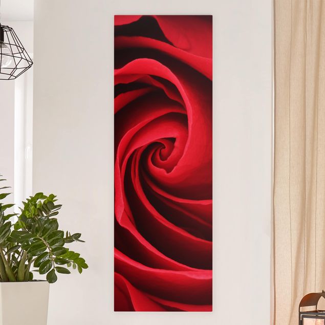 Quadri moderni per soggiorno Fiore di rosa rossa