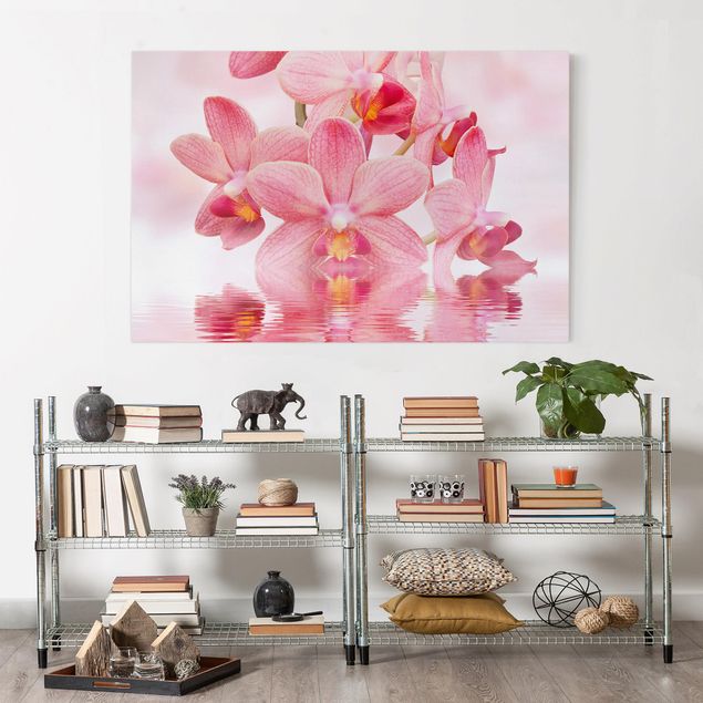 Quadri moderni per soggiorno Orchidea rosa chiaro sull'acqua