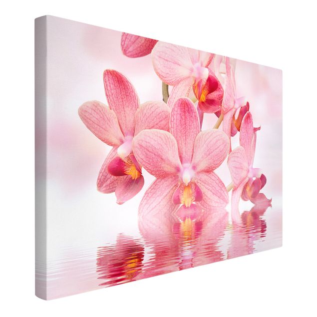 Stampa su tela Orchidea rosa chiaro sull'acqua