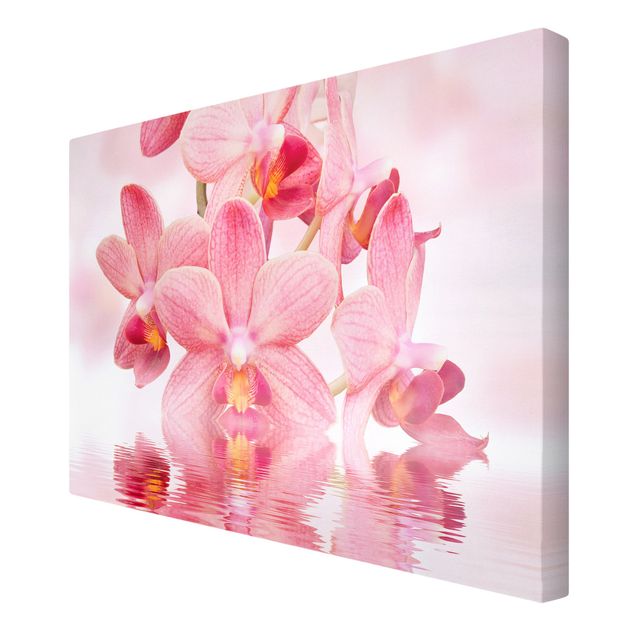 Stampa su tela - Pink orchids on water - Orizzontale 3:2