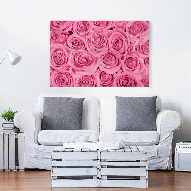 Stampe su tela fiori Rose rosa