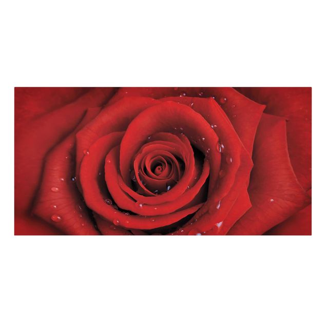 Stampa su tela - Red Rose With Water Drops - Orizzontale 2:1