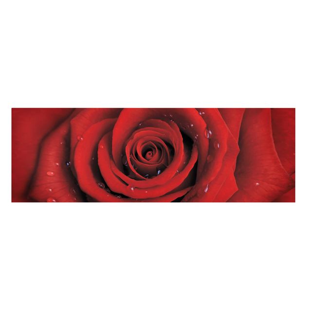 Stampa su tela - Red Rose With Water Drops - Panoramico