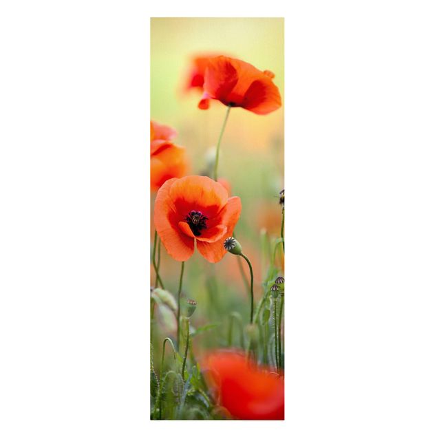 Stampa su tela - Red Summer Poppy - Pannello