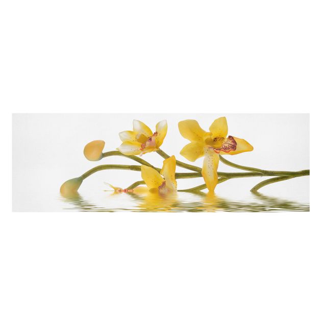 Stampa su tela - Saffron Orchid Waters - Panoramico