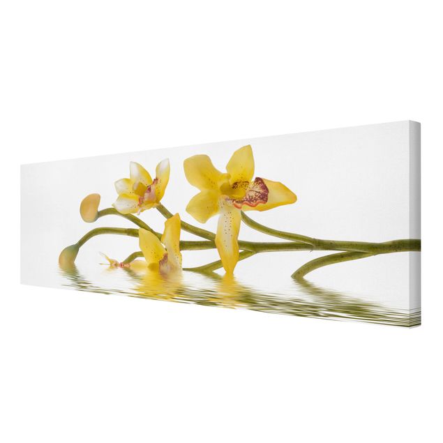 Stampa su tela - Saffron Orchid Waters - Panoramico