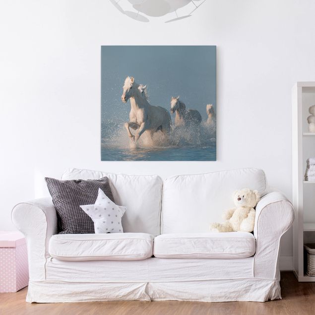 quadri con animali Mandria di cavalli bianchi