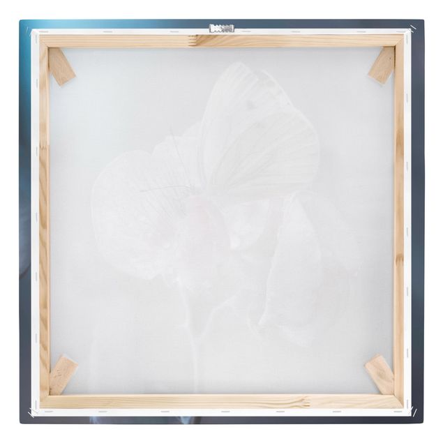 Stampa su tela - Farfalla nella Pioggia - Quadrato 1:1