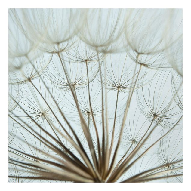 Stampa su tela - Beautiful dandelion macro shot - Orizzontale 3:2