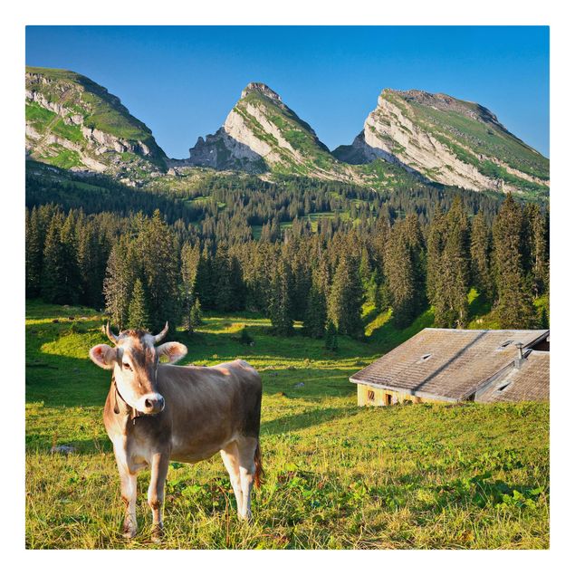 Tele con paesaggi Prato alpino svizzero con mucca