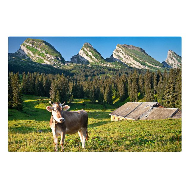 Tele con paesaggi Prato alpino svizzero con mucca