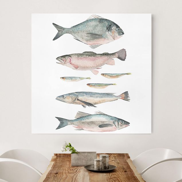 stampe animali Sette pesci in acquerello II