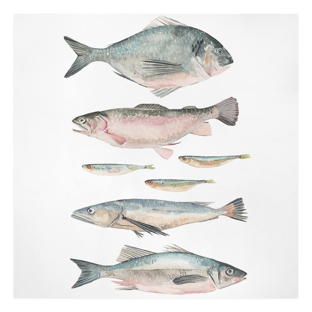 Quadri su tela Sette pesci in acquerello II