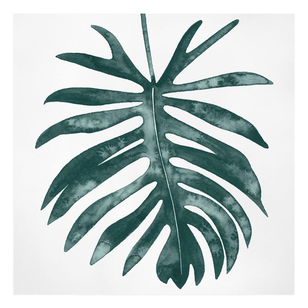 Stampa su tela - Emerald Philodendron Angustisectum - Quadrato 1:1