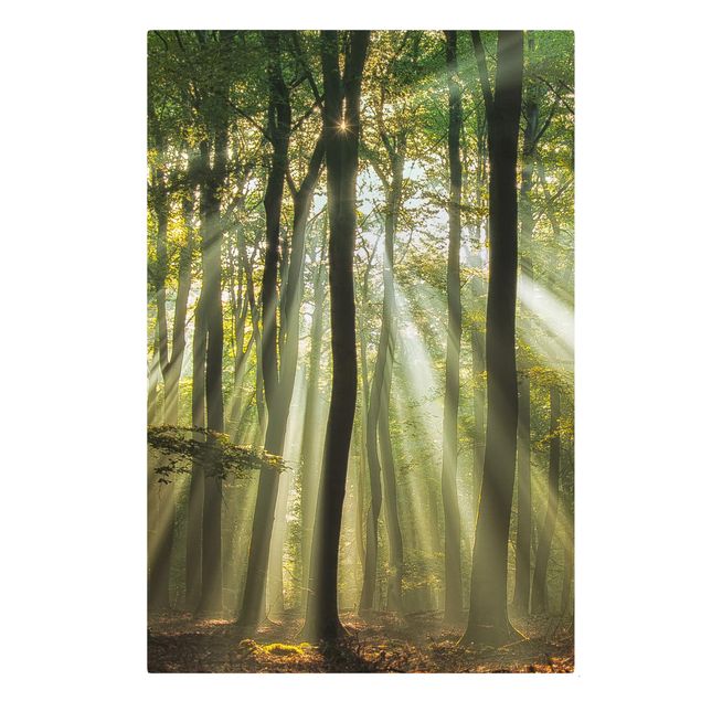 Stampa su tela - Giornata di Sole nella Foresta - Verticale 2:3