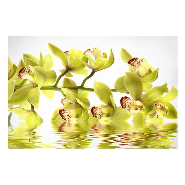 Stampa su tela - Splendid Orchid Waters - Orizzontale 3:2