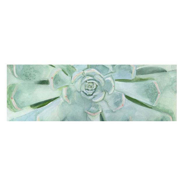 Stampa su tela - Succulente Acquerello brillante - Panoramico