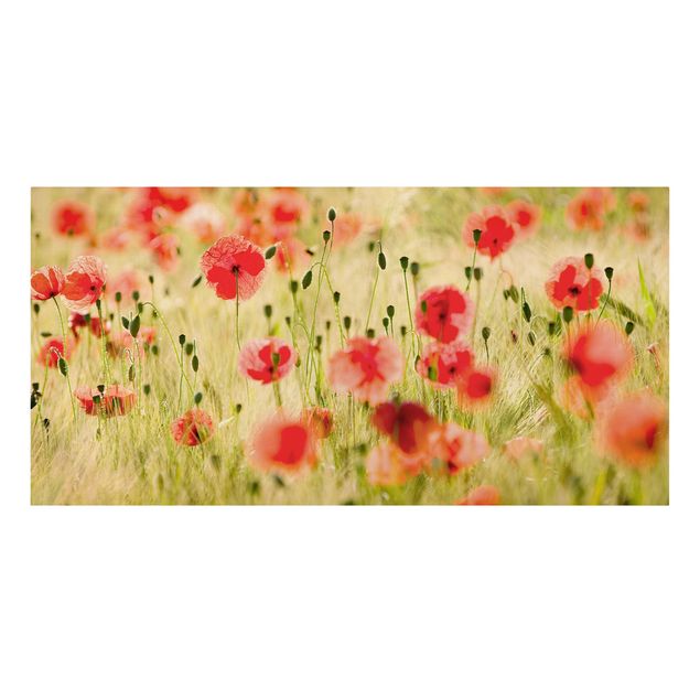 Stampa su tela - Summer Poppies - Orizzontale 2:1