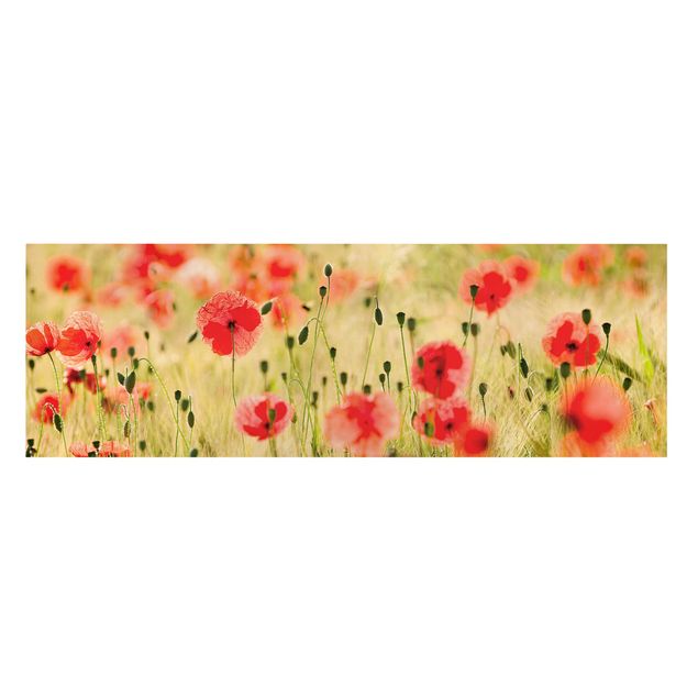 Stampa su tela - Summer Poppies - Panoramico