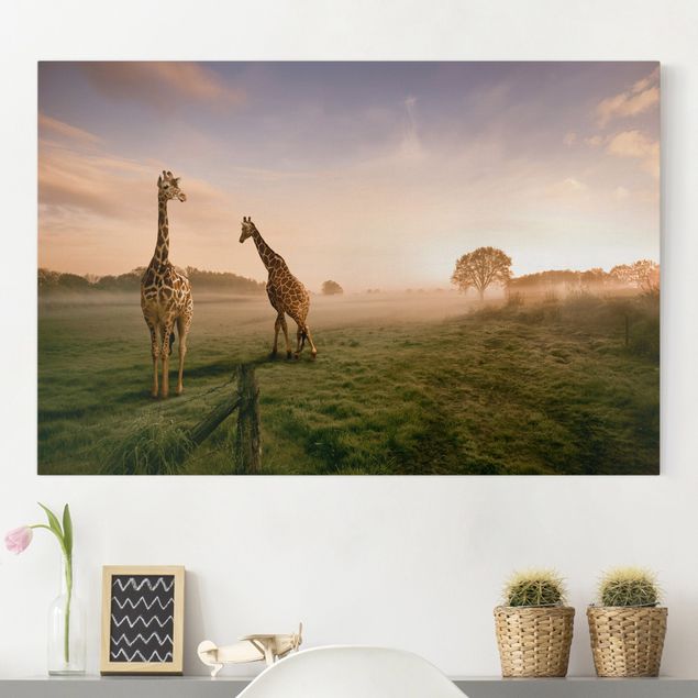 Quadri con giraffe Giraffe surreali