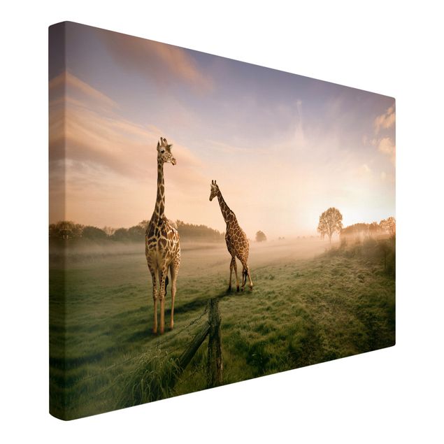 Stampe su tela animali Giraffe surreali