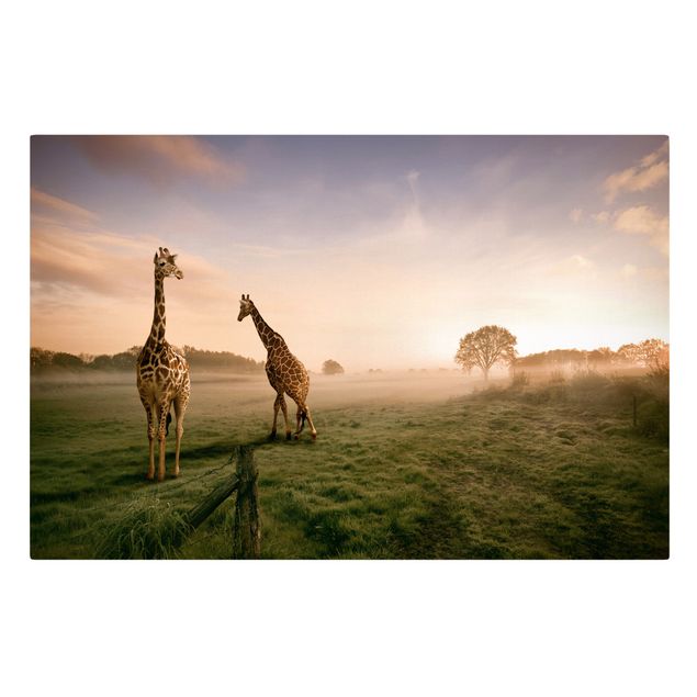 Quadri moderni per soggiorno Giraffe surreali