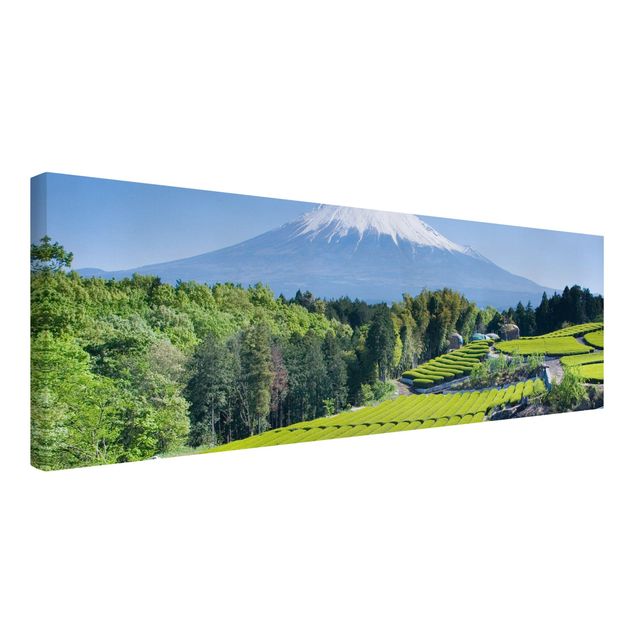 Quadri moderni per soggiorno Campi di tè davanti al Fuji