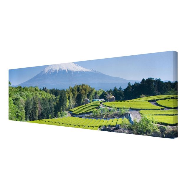 Stampa su tela - Tea Fields In Front Of The Fuji - Panoramico
