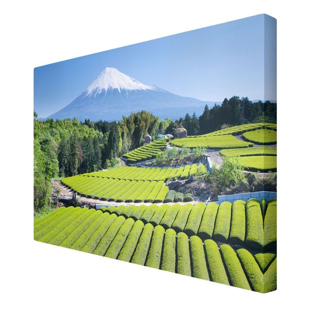 Stampa su tela - Tea Fields In Front Of The Fuji - Orizzontale 3:2