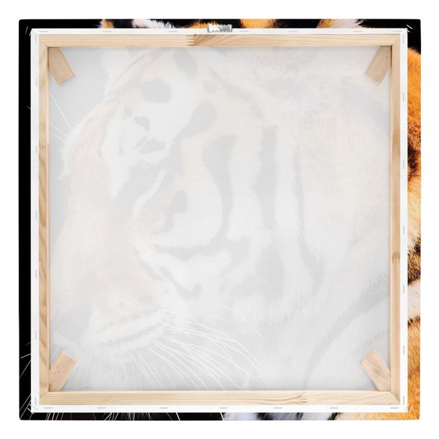 Stampa su tela - Tiger Beauty - Quadrato 1:1