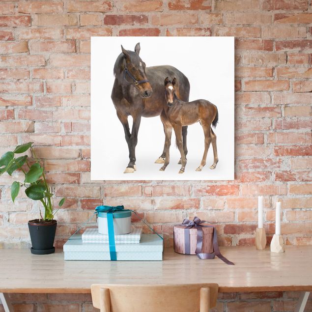 quadri con animali Cavallo e puledro trakehner
