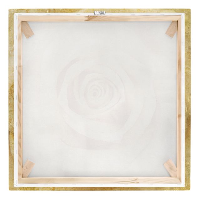 Stampa su tela - Vintage Rose - Quadrato 1:1