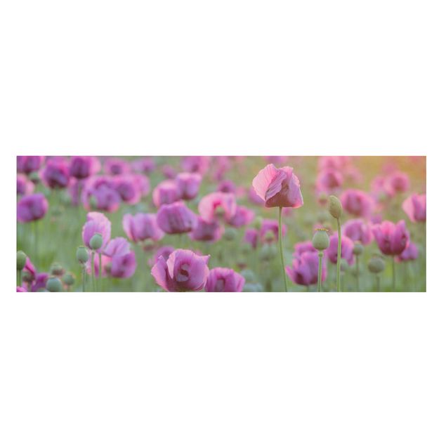 Stampa su tela - Purple Poppy Flower Meadow In Spring - Panoramico