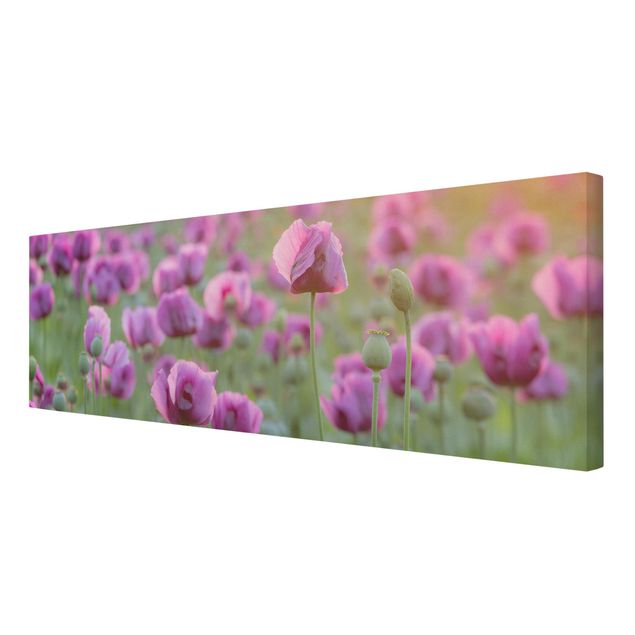 Stampa su tela - Purple Poppy Flower Meadow In Spring - Panoramico
