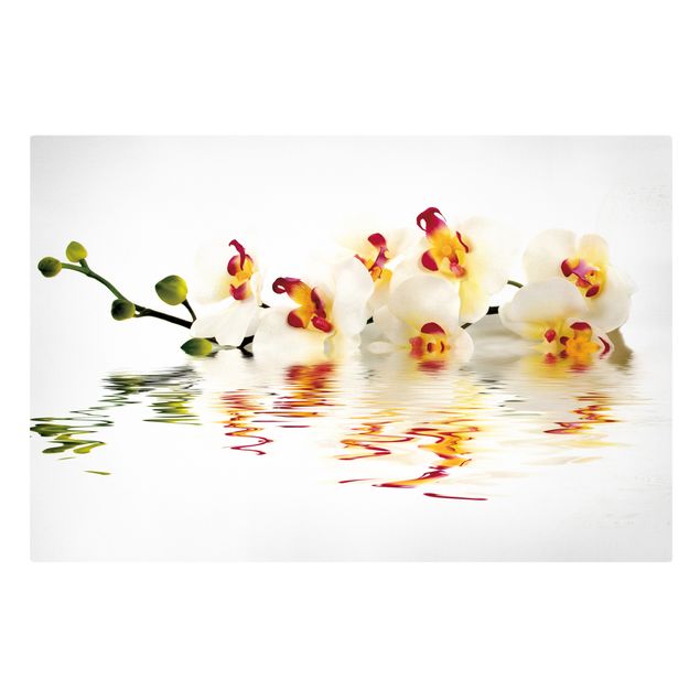 Stampa su tela - Vivid Orchid Waters - Orizzontale 3:2