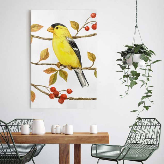 Riproduzioni su tela quadri famosi Uccelli e bacche - Cardellino americano