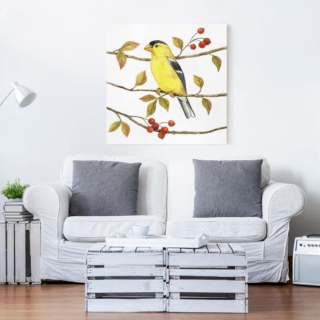 Riproduzione quadri su tela Uccelli e bacche - Cardellino americano