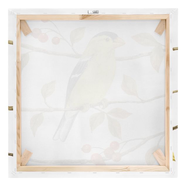 Stampa su tela - Birds And Berries - American Goldfinch - Quadrato 1:1