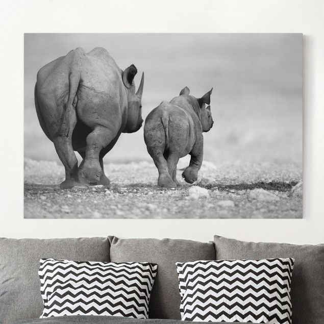 Quadri animali Rinoceronti erranti II
